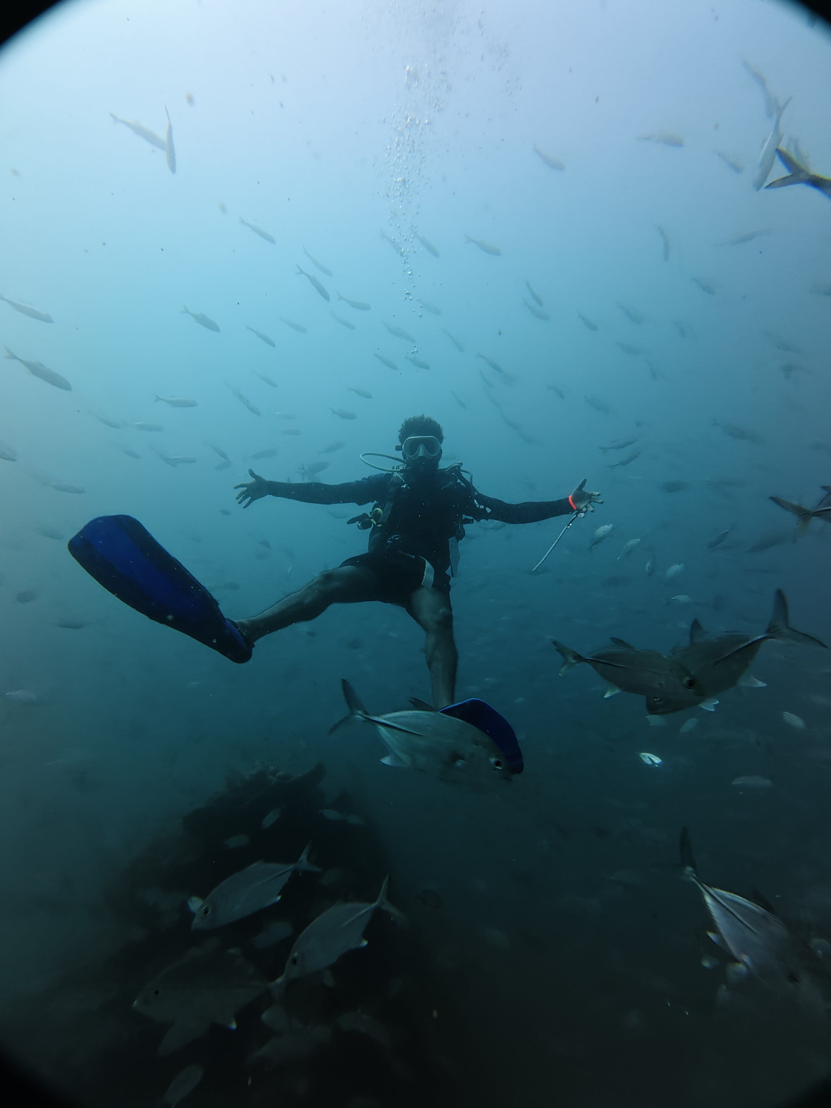 Diver with arms spread wide among schooling fish above a reef
